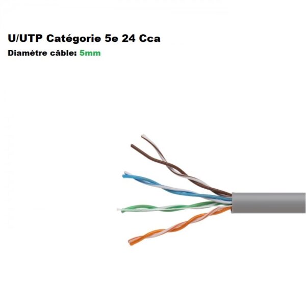 Câble ethernet basic U/UTP Cat. 5e (LSOH) alliage cuivre AWG24 choix 10M à 305M